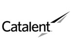 cv batiment