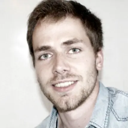 CV Architecte diplômé d'état