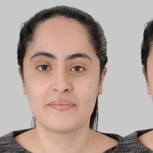 Candidat 251219155509 - Consultante Pmo