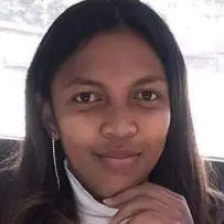 CV Ingénieur en énergie renouvelable