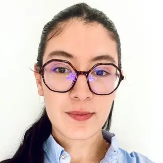 CV Ingénieur mécatronique