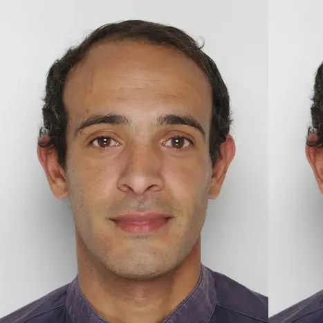 CV Charpentier/constructeur bois