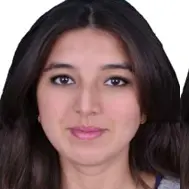 CV Ingénieur cheffe de projet