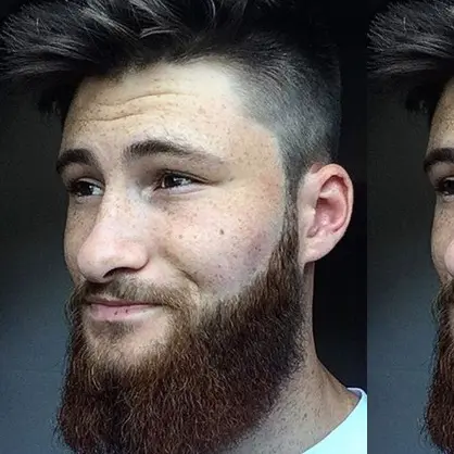 CV économiste de la construction