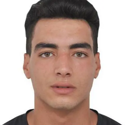 CV Chauffeur professionnel