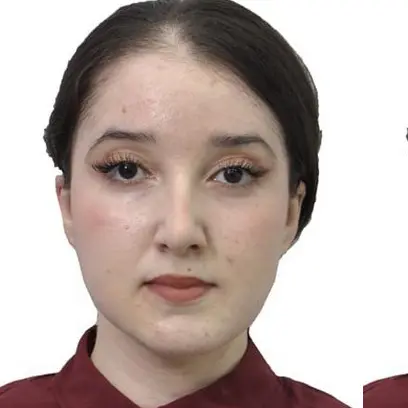 CV Stagiaire en électronique