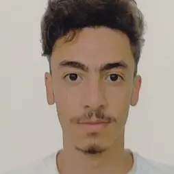 CV Ingénieur r&d en simulation numérique et modélisation thermique