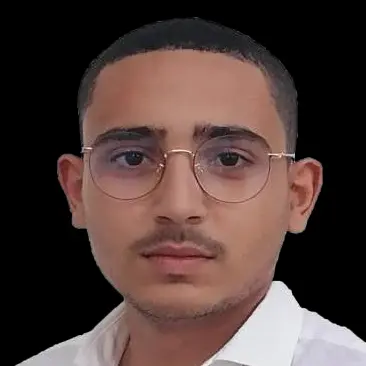 CV Ingénieur Efficacité énergétique Et énergies Renouvelables