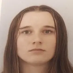 CV Menuisier installateur