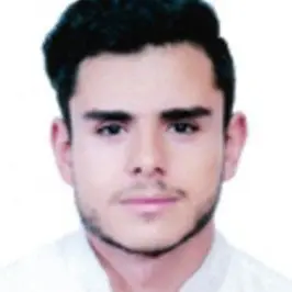 Candidat Ingénieur En Génie Électrique