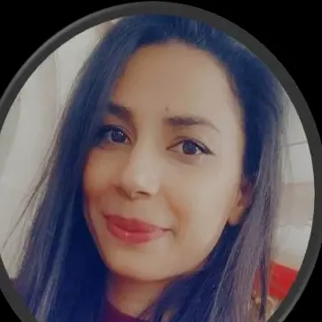 CV Ingénieur calcul des structures