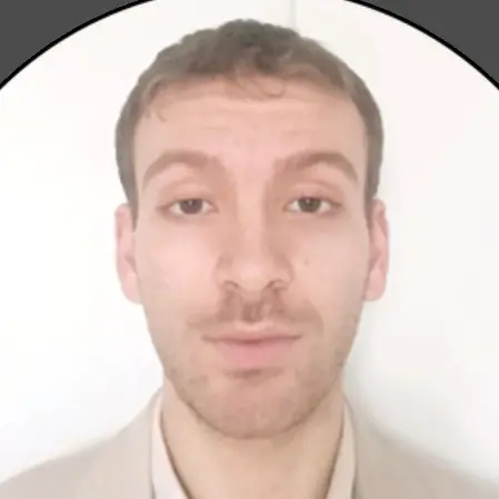 CV Commercial / business developer