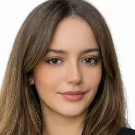 CV Business developer