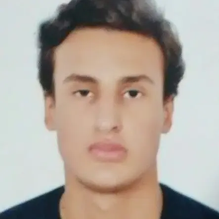 Candidat 2607011317 - Ingénieur Qhse