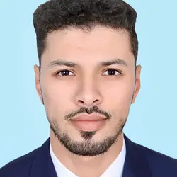 CV Responsable Technique Vidéosurveillance