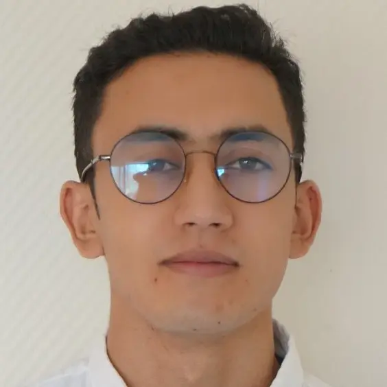 Candidat 2608311505 - Financial Auditor