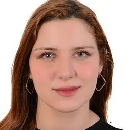 Candidat 260916181127 - Ingénieur Géotechnicien
