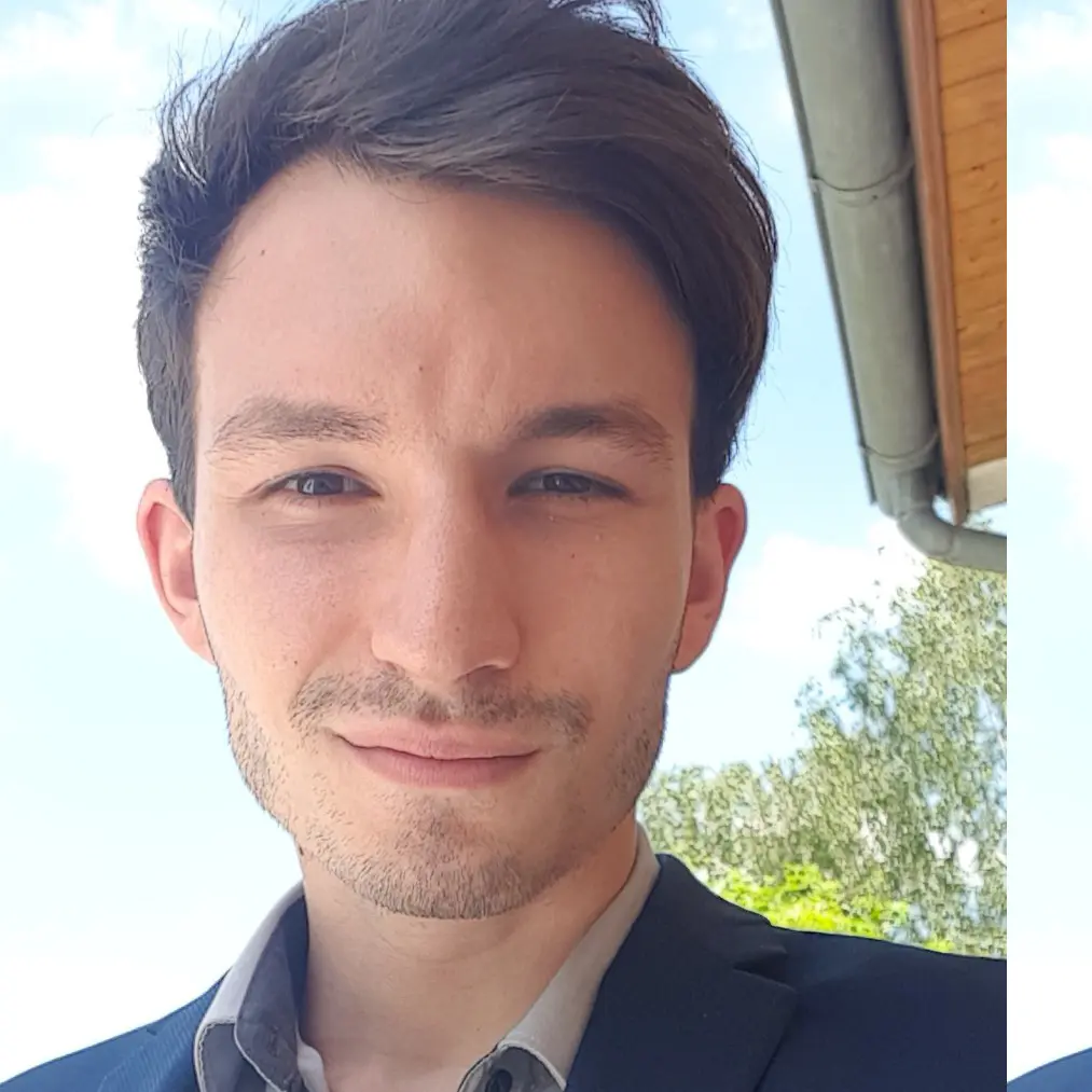Candidat 261013093111 - Business Developer