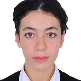 Candidat 2610201514 - Ingénieure Électronique & Systèmes Embarqués