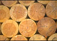 PMEBTP - Matériau du BTP : Le bois