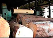 PMEBTP - Matériau du BTP : Les produits du bois
