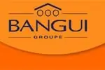 Offre d'emploi Metreur H/F de Bangui