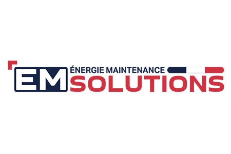 Logo EM SOLUTIONS