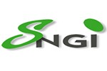 Logo SNGI