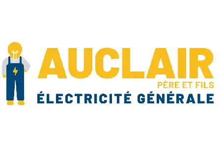 Offre d'emploi Techniciens electriciens H/F de  Auclair Pere Et Fils