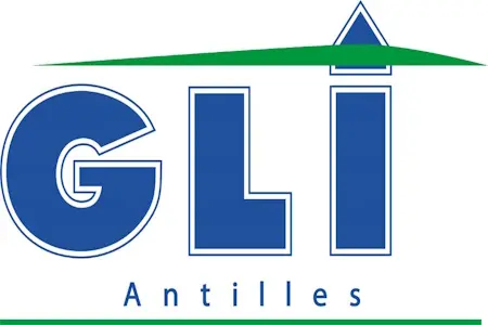 Offre d'emploi Dépanneur grues à tour / électrotechnicien (H/F) de Gli