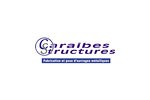 Logo client Caraibes-structures