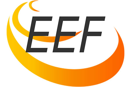 Logo ENTREPRISE ELECTRICITE FRANCAISE