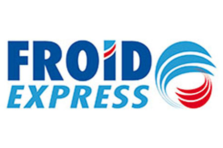 Logo FROID EXPRESS SERVICES