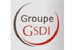 Logo GSDI