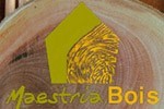 Logo MAESTRIA BOIS