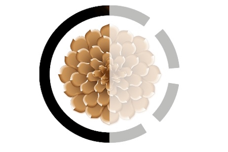 Logo OREGON SERVICES