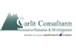 CARLIT CONSULTANTS, Expert RH sur PMEBTP